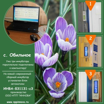 Управление инкубаторами с компьютера с.Обильное
