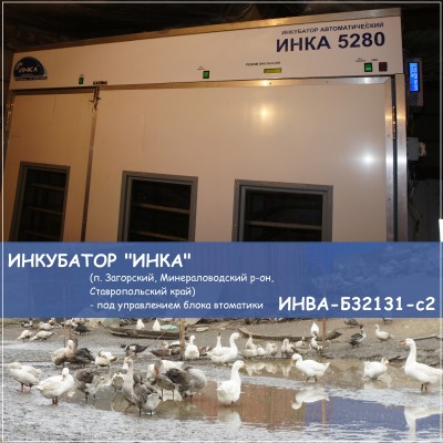 Инкубатор ИНКА под управлением блока ИНВА-Б32131-с2