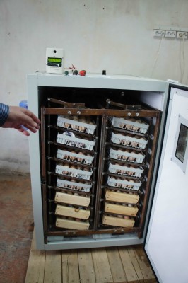 Самодельный инкубатор на 700 яиц.