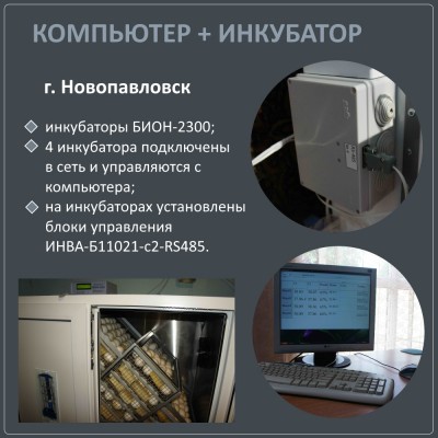 г.Новопавловск